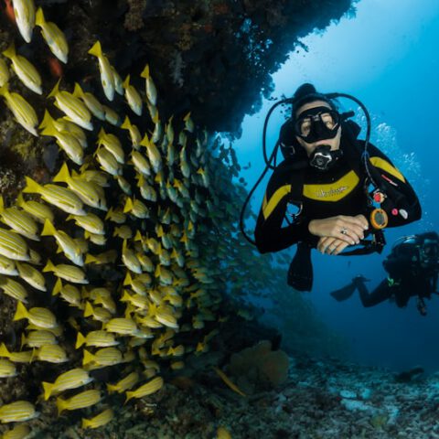 Snorkel Set