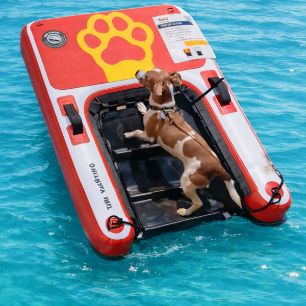 Aquapaws Dog Ramp