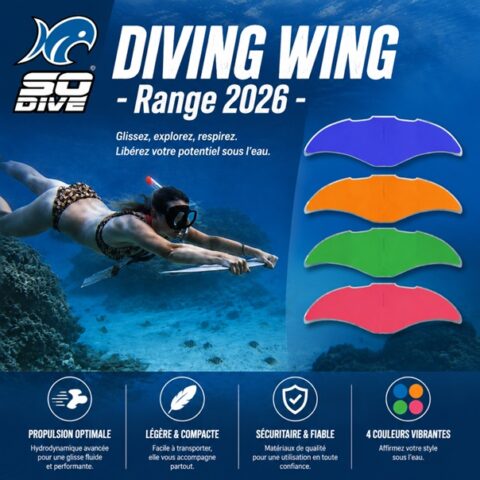 AquaSurge Diving Wing - Blue