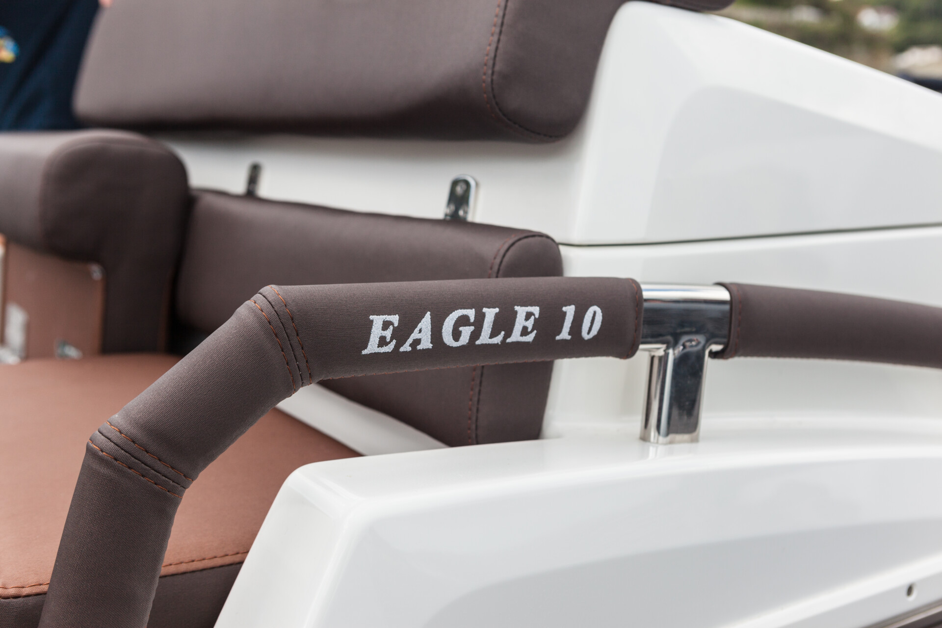 Eagle 10 -0289